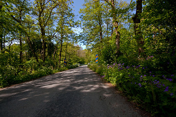 Image showing country road