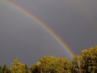 Image showing Rainbow 