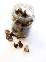 Image showing Dried Mushrooms