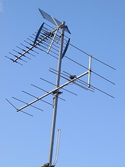 Image showing Antenna