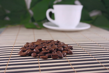 Image showing Coffee kind