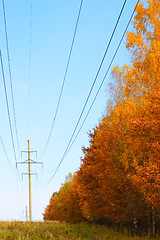 Image showing Autumn energy