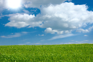 Image showing The summer green meadow which has been removed against the blue 