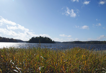 Image showing Autumn Island With Blue Sky