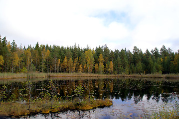 Image showing Autumn Colors On Calm Marshland Lake