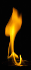 Image showing flame