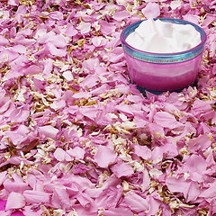 Image showing Japanese cherry leafs with cream