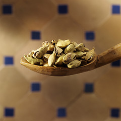 Image showing cardamom