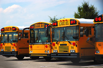 Image showing School Buses