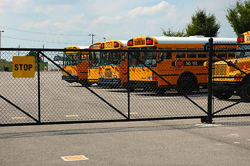 Image showing School Bus Parking Lot