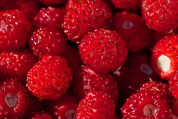 Image showing wild strawberries