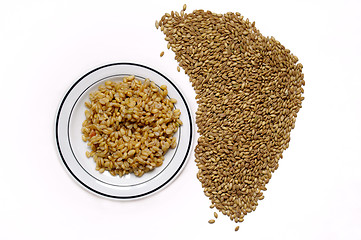 Image showing barley rice grain 