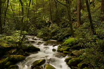 Image showing Great Smoky Mountains national park