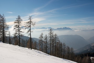 Image showing Winter