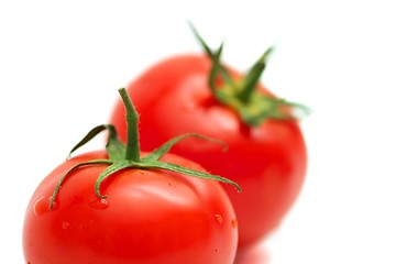 Image showing Tomato