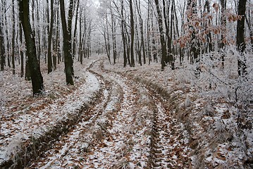 Image showing Winter