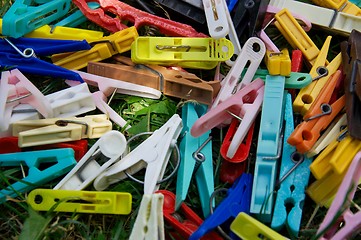 Image showing Clothes-pegs