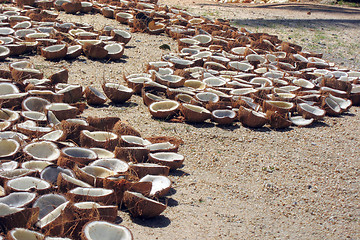 Image showing Broken Coconuts, Koh Samui, Thailand, August 2007