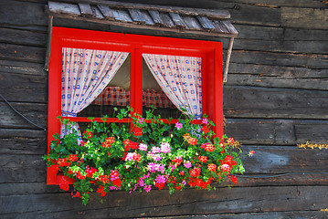 Image showing Flowers at the Window, Dolomites, Italy, August 2007