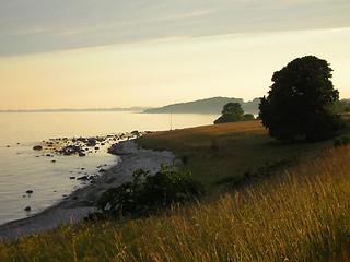 Image showing warm coastline