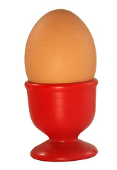 Image showing egg