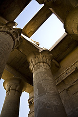 Image showing Kom Ombo temple