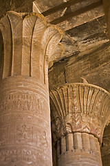 Image showing Edfu temple