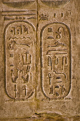 Image showing Edfu temple