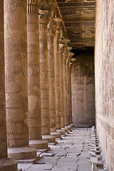 Image showing Edfu temple