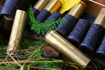 Image showing Hunting cartridges and cover