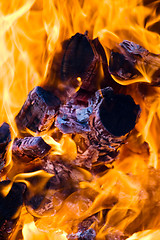 Image showing Burns of firewood
