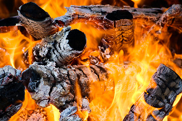 Image showing Burns of firewood