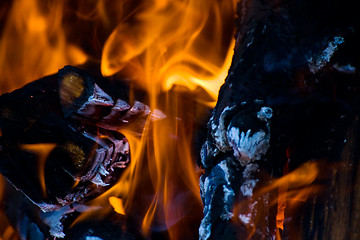 Image showing Burns of firewood