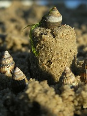 Image showing sandcastle