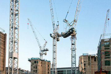 Image showing Cranes