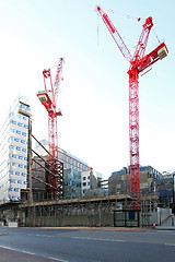 Image showing Two cranes