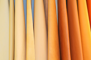 Image showing Leather color