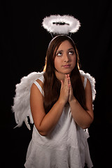 Image showing Angel Praying