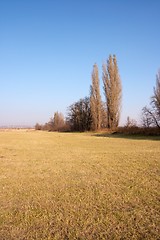 Image showing Dry Field