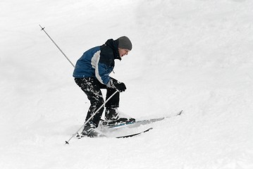 Image showing Skiing