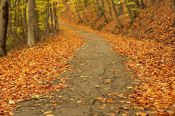 Image showing Autumn path