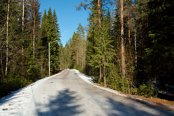 Image showing Forest