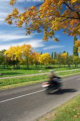 Image showing Biker