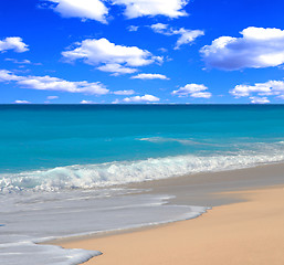 Image showing Gorgeous Beach