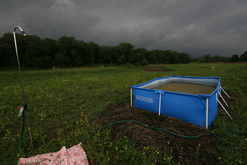 Image showing Swimming pool in the meadow.
