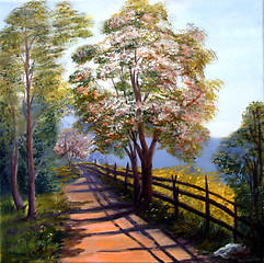 Image showing Summer Walk