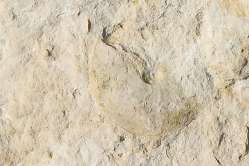 Image showing Limestone rock