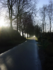 Image showing Road to the light
