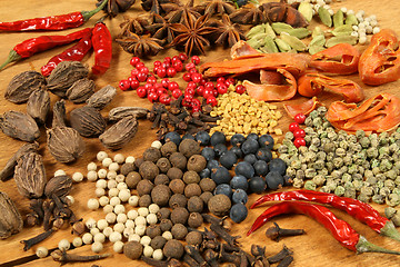 Image showing Spices