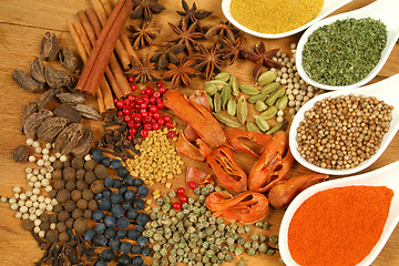 Image showing Spices.